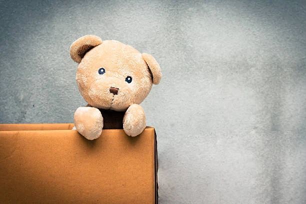 Le vide-Greniers du Fenestival avec le CSC VSP